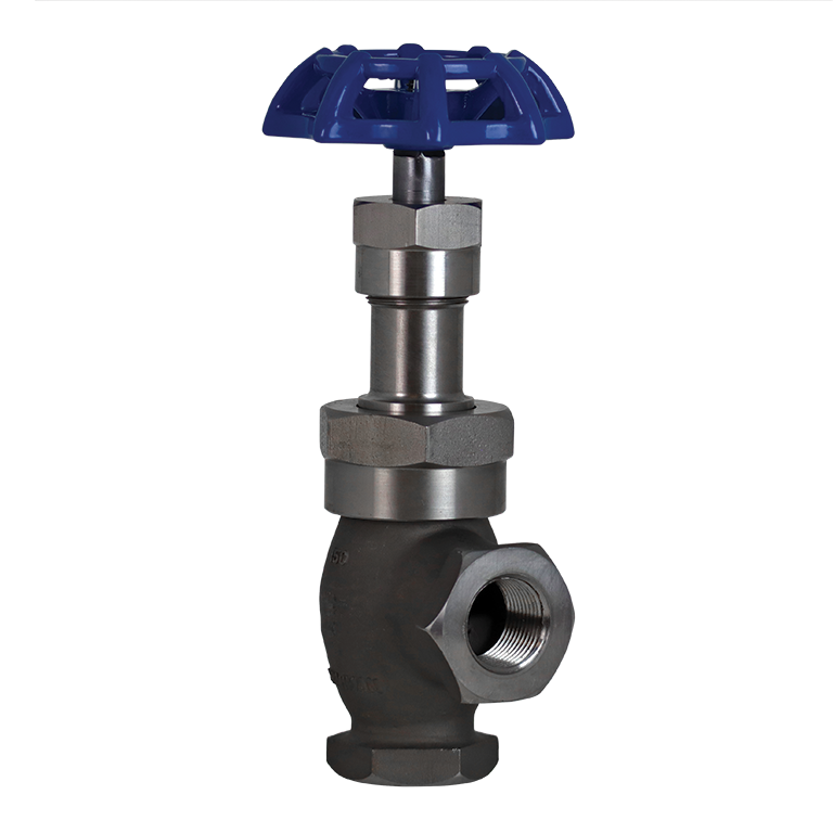 Globe Valve